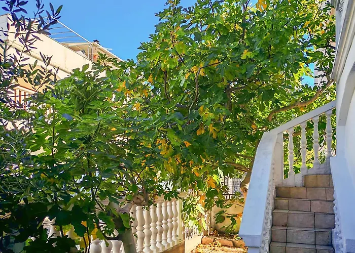 Gorgeous In With Wifi 보디체