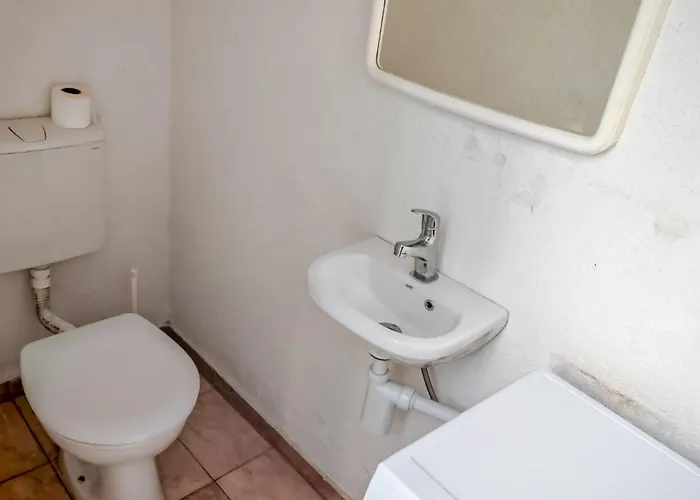 Gorgeous In With Wifi * 보디체